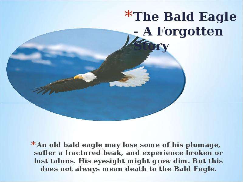 An old bald eagle may lose