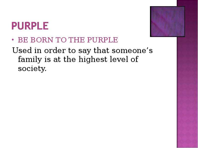 BE BORN TO THE PURPLE BE BORN