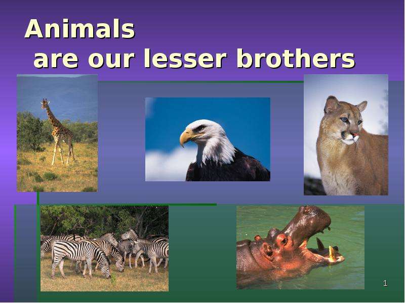 Презентация Animals are our lesser brothers