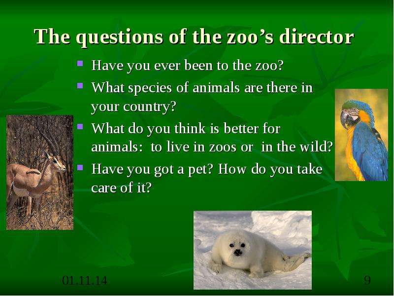 The questions of the zoo s