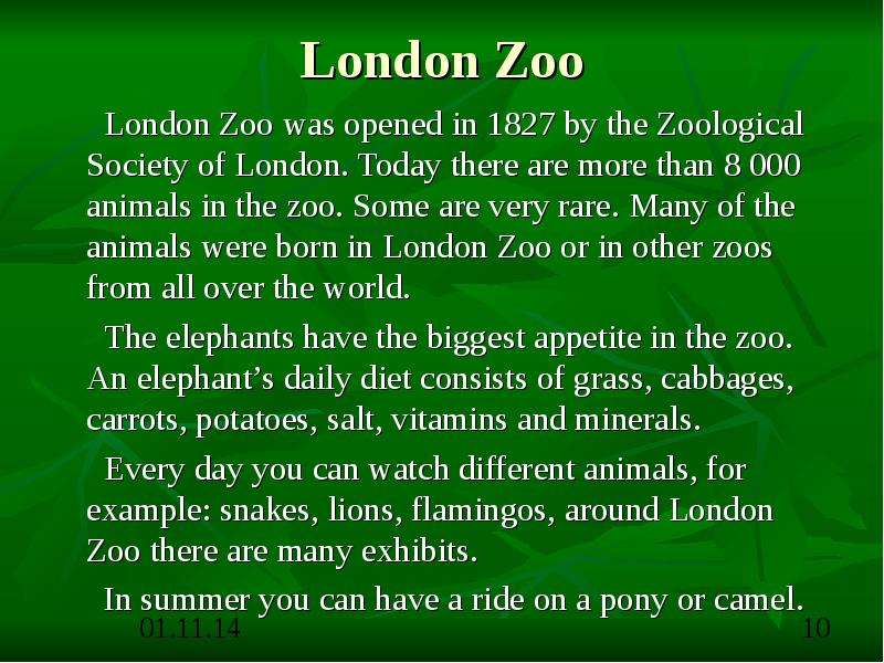 London Zoo London Zoo was