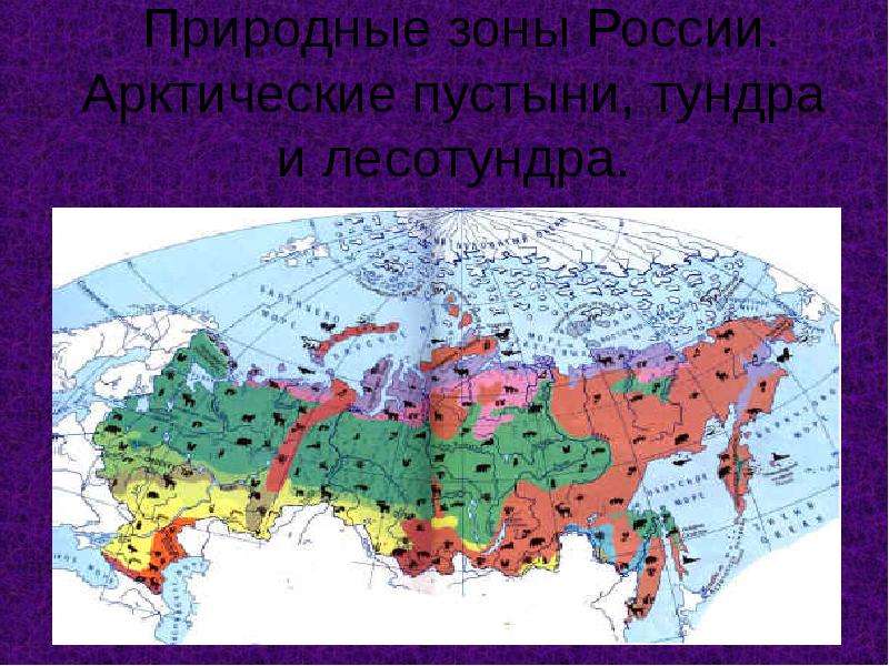 Презентация Природные зоны России. Арктические пустыни, тундра и лесотундра.