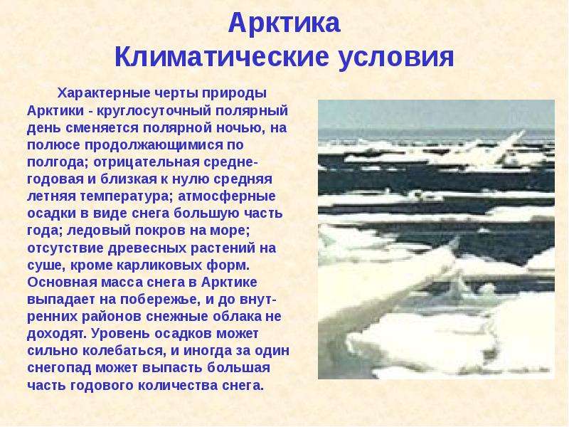 Арктика Климатические условия