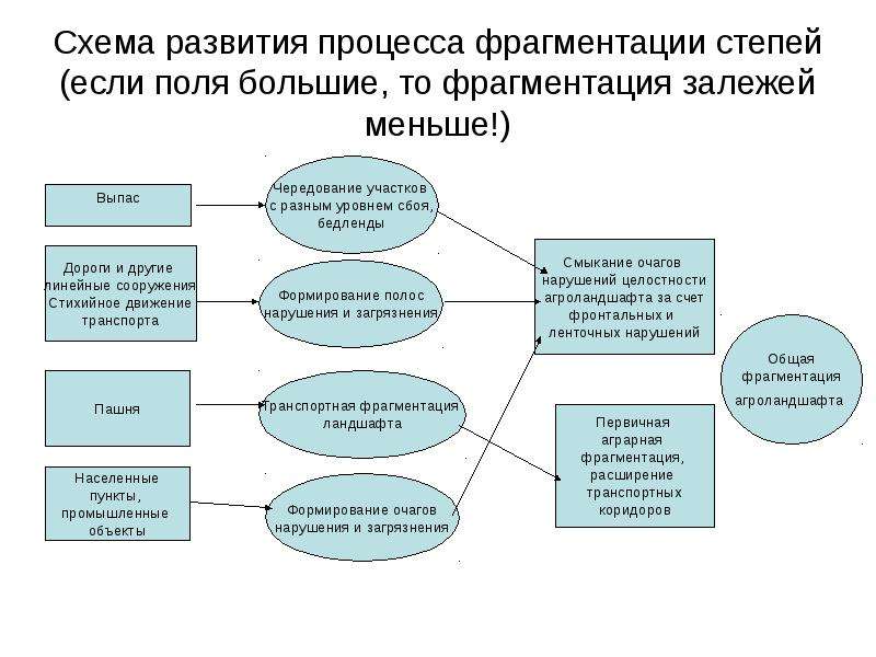 Схема развития процесса