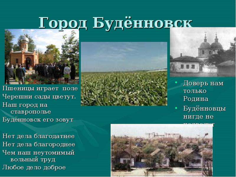 Город Будённовск Пшеницы