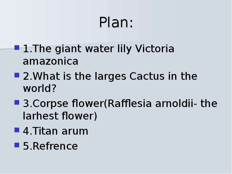 Plan .The giant water lily