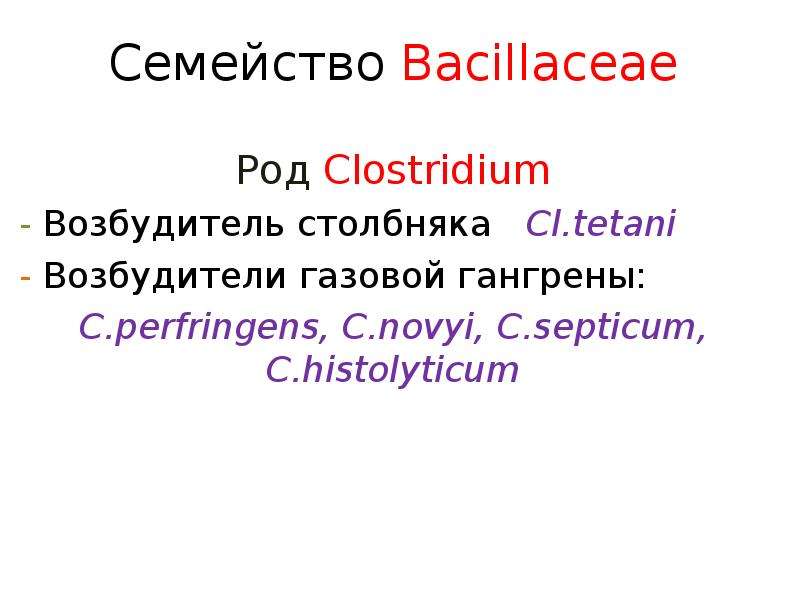 Презентация Семейство Bacillaceae Род Clostridium - Возбудитель столбняка Cl. tetani - Возбудители газовой гангрены: C. perfringens, C. novyi, C. septicum, C. histolyticum