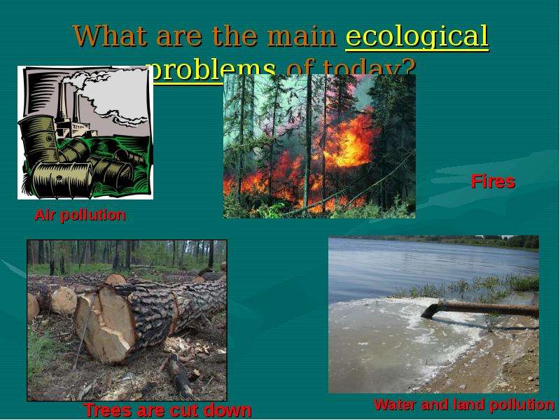 What are the main ecological