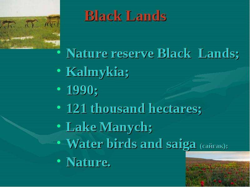 Black Lands Nature reserve