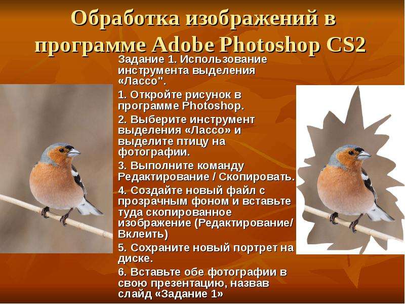 Презентация Обработка изображений в программе Adobe Photoshop CS2 Задание 1. Использование инструмента выделения «Лассо". 1. Откройте рисунок в пр