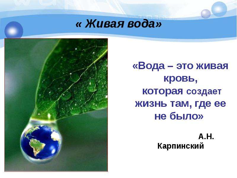 Презентация "Проект родника "Карашаш"" - скачать презентации по Экологии