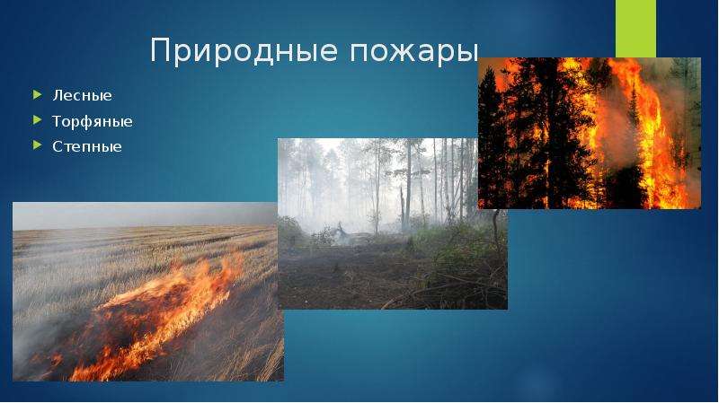Природные пожары Лесные