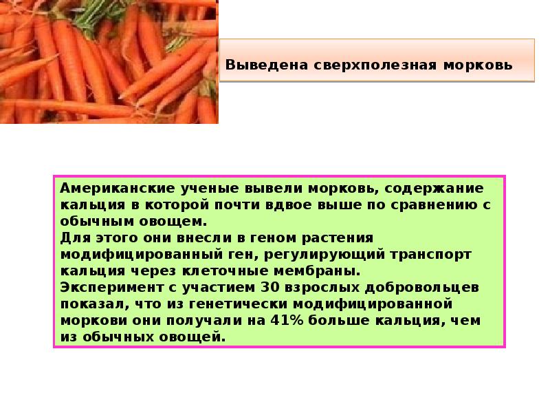 Выведена сверхполезная морковь