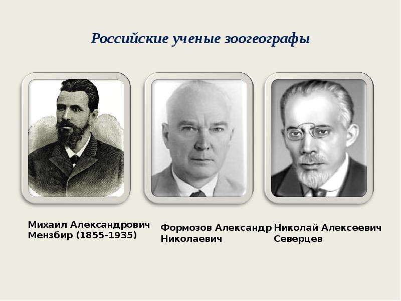 Российские ученые зоогеографы