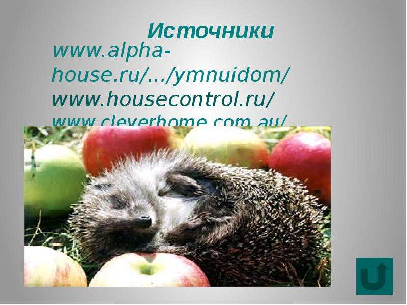 www.alpha-house.ru ...
