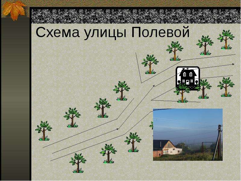 Схема улицы Полевой