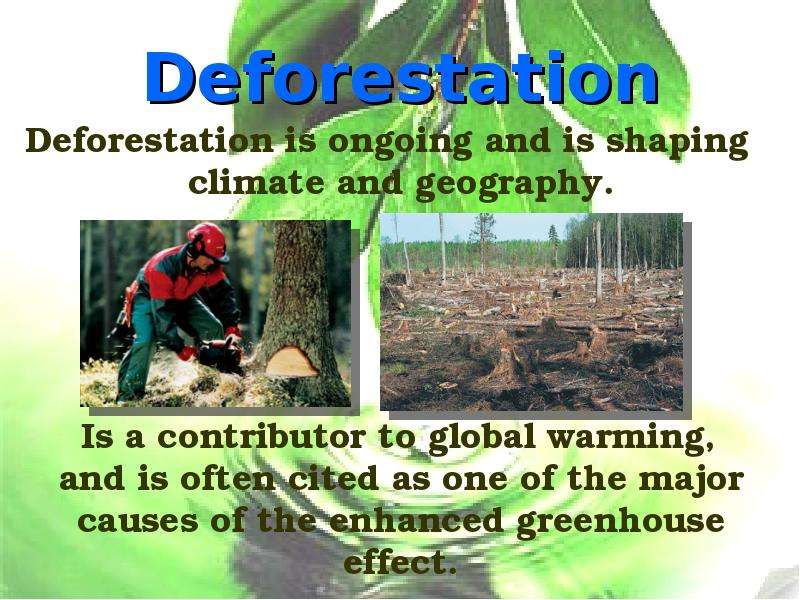 Deforestation Deforestation