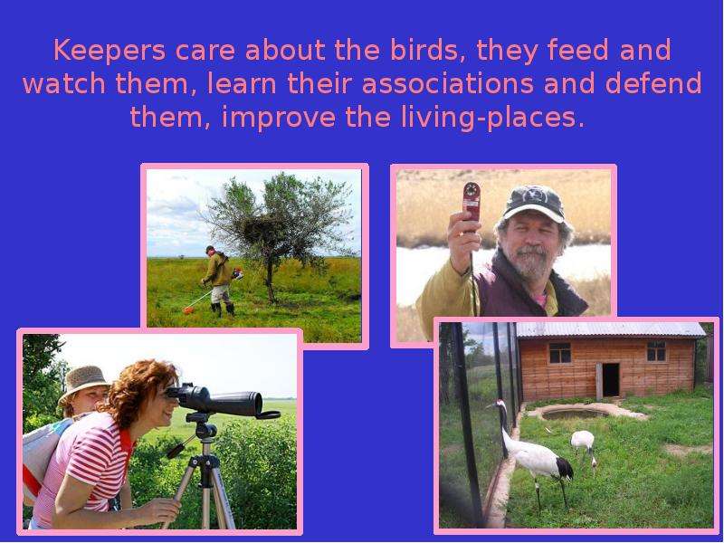 Keepers care about the birds,