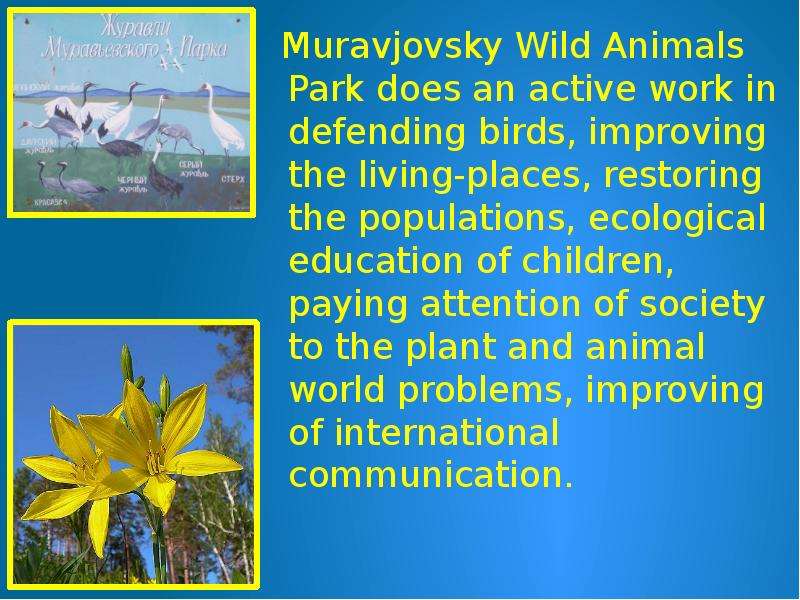 Muravjovsky Wild Animals Park