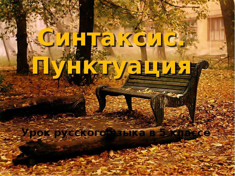Презентация Синтаксис. Пунктуация Урок русского языка в 5 классе