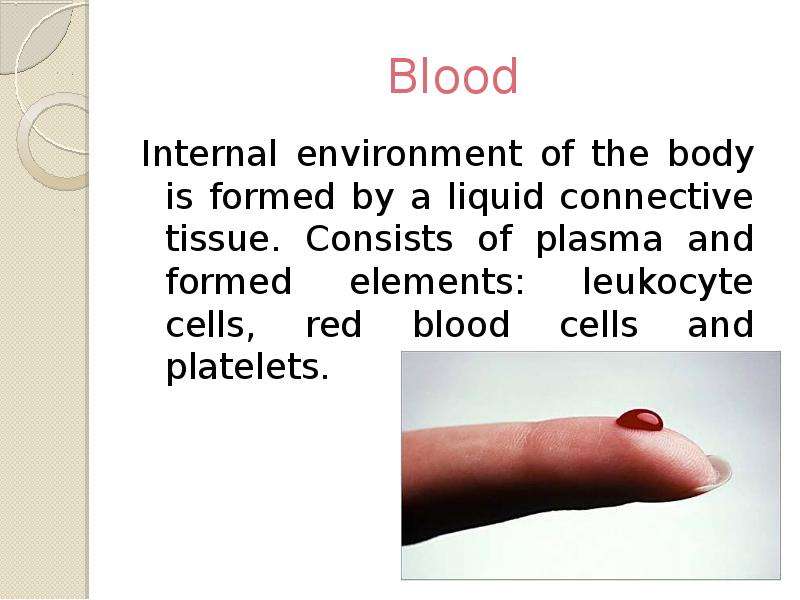 Blood Internal environment of