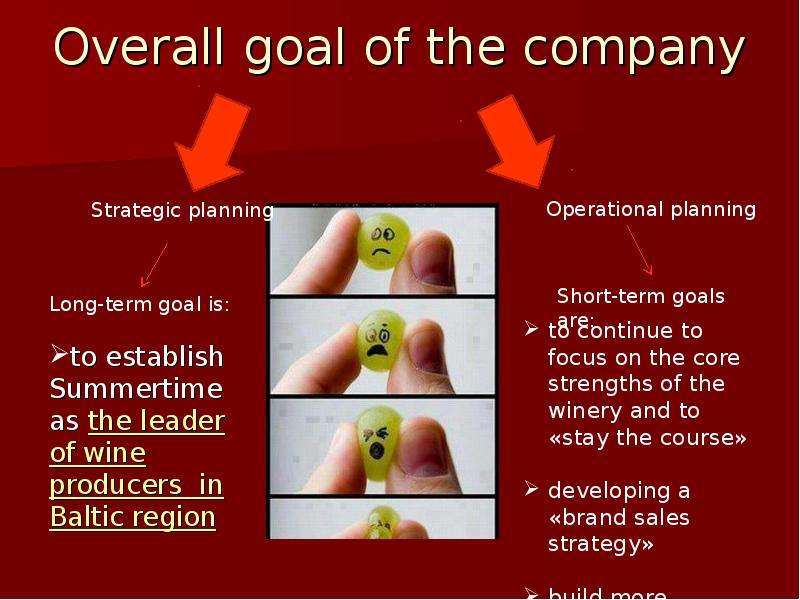 Overall goal of the company
