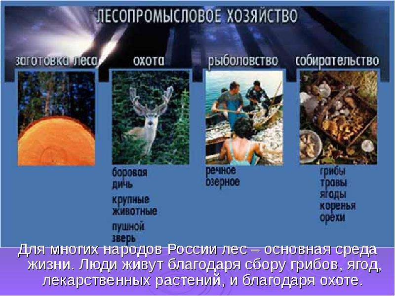 Для многих народов России лес