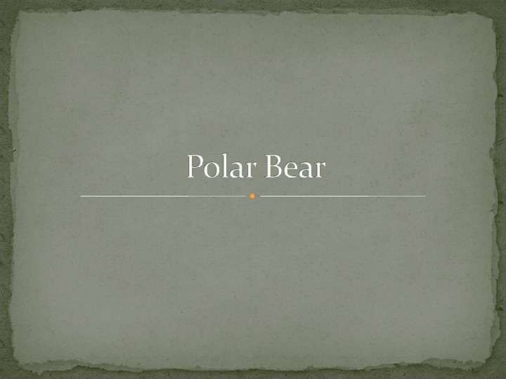 Презентация К уроку английского языка "Polar Bear" -