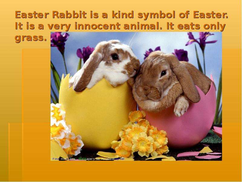 Easter Rabbit is a kind