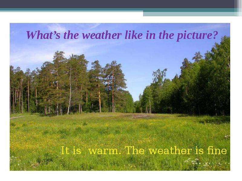 What s the weather like in