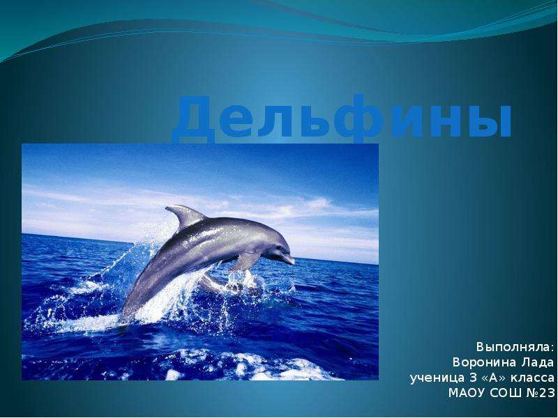Презентация Дельфины Выполняла: Воронина Лада ученица 3 «А» класса МАОУ СОШ 23