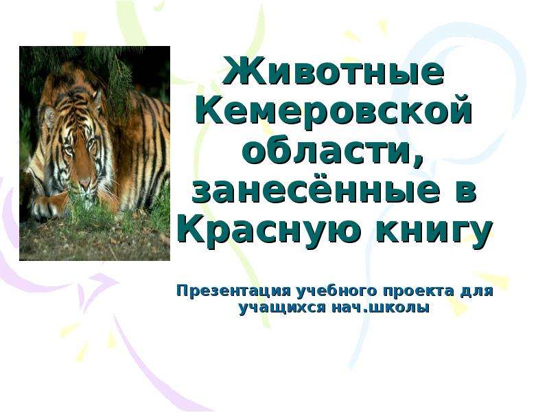 Презентация Животные Кемеровской области, занесённые в Красную книгу Презентация учебного проекта для учащихся нач. школы