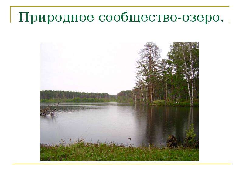 Природное сообщество-озеро.