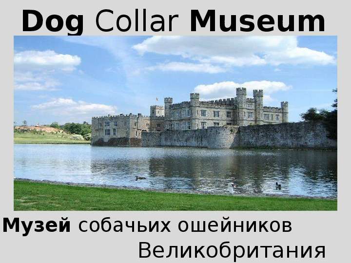 Презентация К уроку английского языка "Dog Collar Museum" -