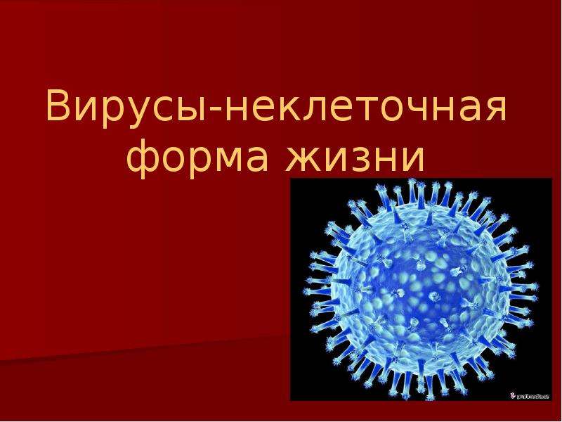 Презентация Вирусы-неклеточная форма жизни