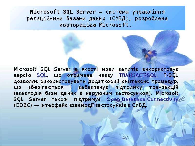 Microsoft SQL Server система