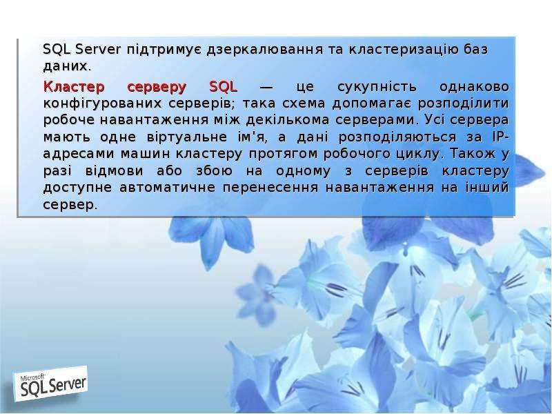 SQL Server п дтриму