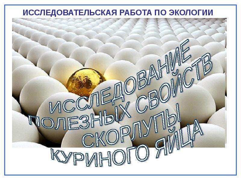 Презентация "Исследование полезных свойств скорлупы куриного яйца" - скачать презентации по Экологии