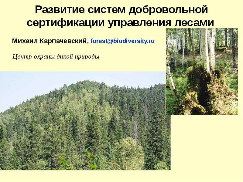 Презентация Развитие систем добровольной сертификации управления лесами - презентация к уроку Географии