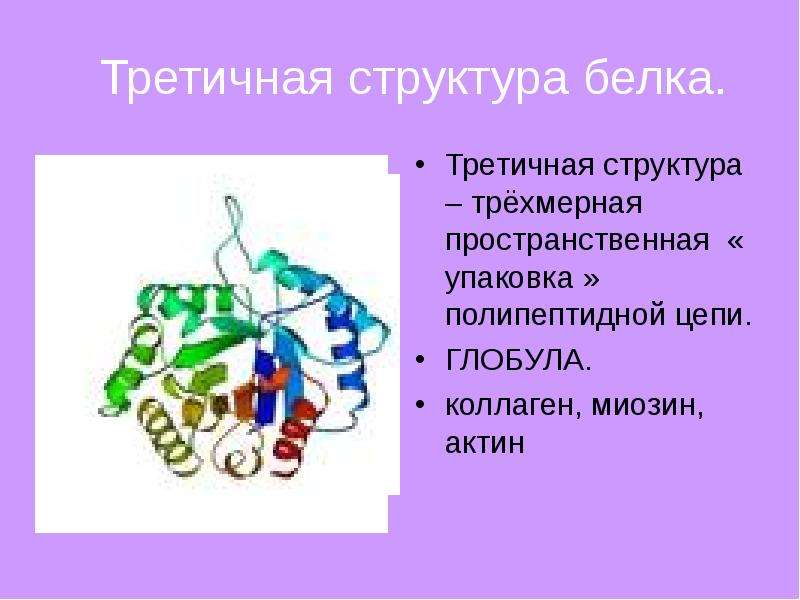 Третичная структура белка.