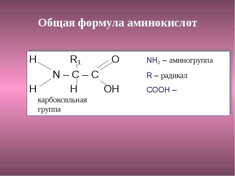 Общая формула аминокислот H R