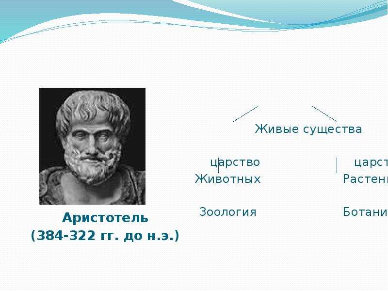 Аристотель - гг. до н.э.