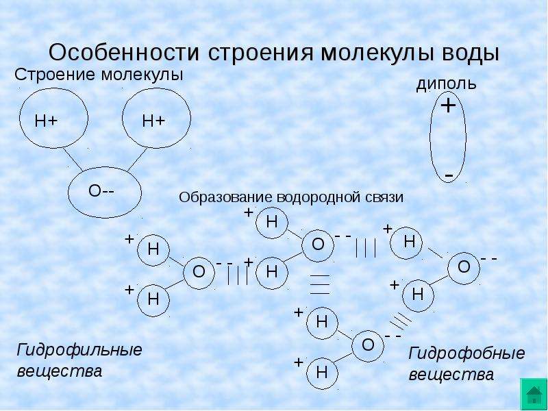 Особенности строения молекулы