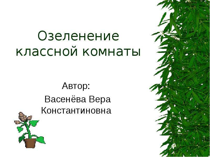 Презентация Озеленение классной комнаты Автор: Васенёва Вера Константиновна