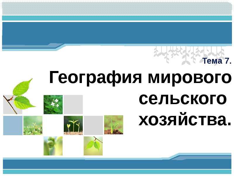 Презентация Тема 7. География мирового сельского хозяйства.
