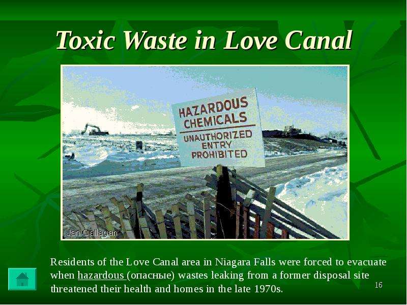 Toxic Waste in Love Canal