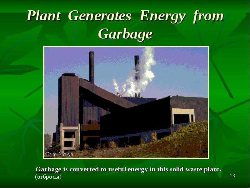 Plant Generates Energy from