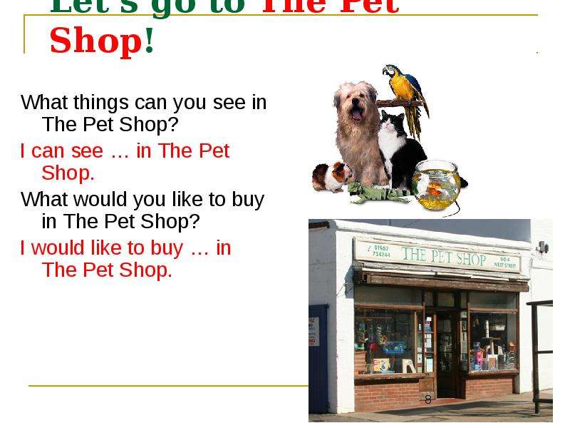 Let s go to The Pet Shop!