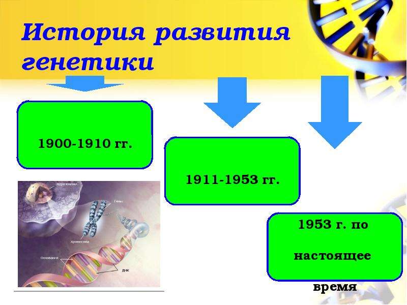 История развития генетики