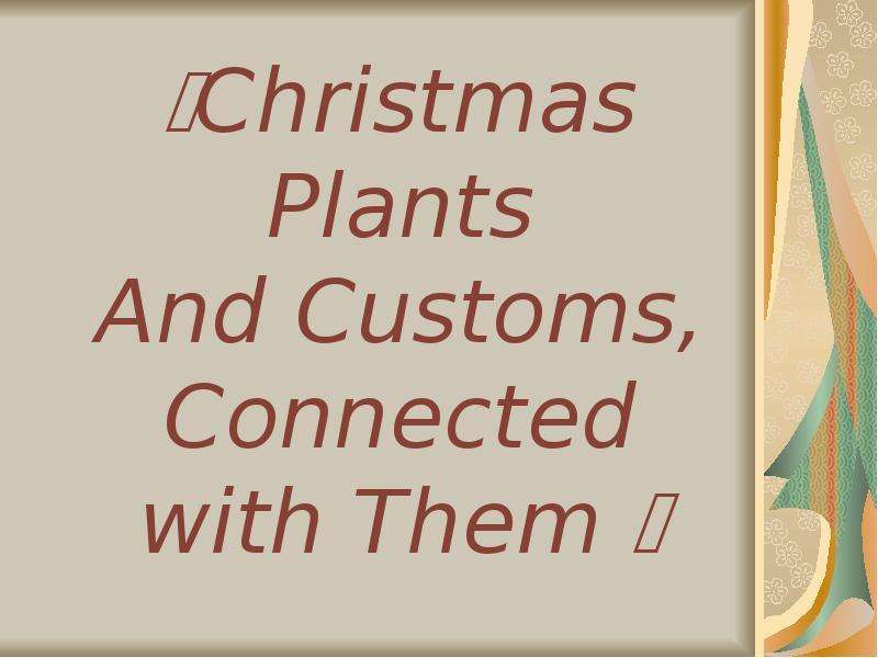 Презентация Christmas Plants And Customs, Connected with Them